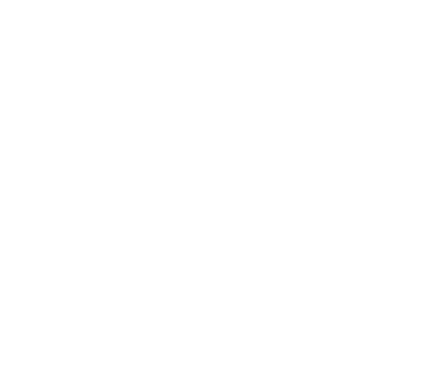 Fort Whisky